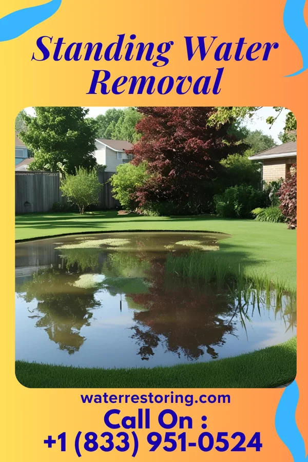 Standing Water Removal in Odenville, AL